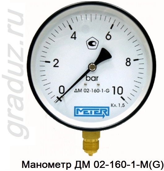 Манометр ДМ 02-160-1-М (G)